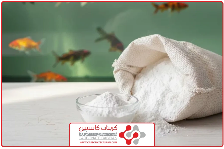 اهمیت کربنات کلسیم | خرید کربنات کلسیم برای آبزیان