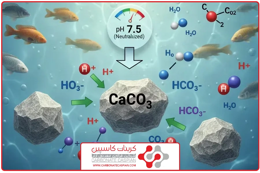 شاخص PH | خرید کربنات کلسیم برای آبزیان